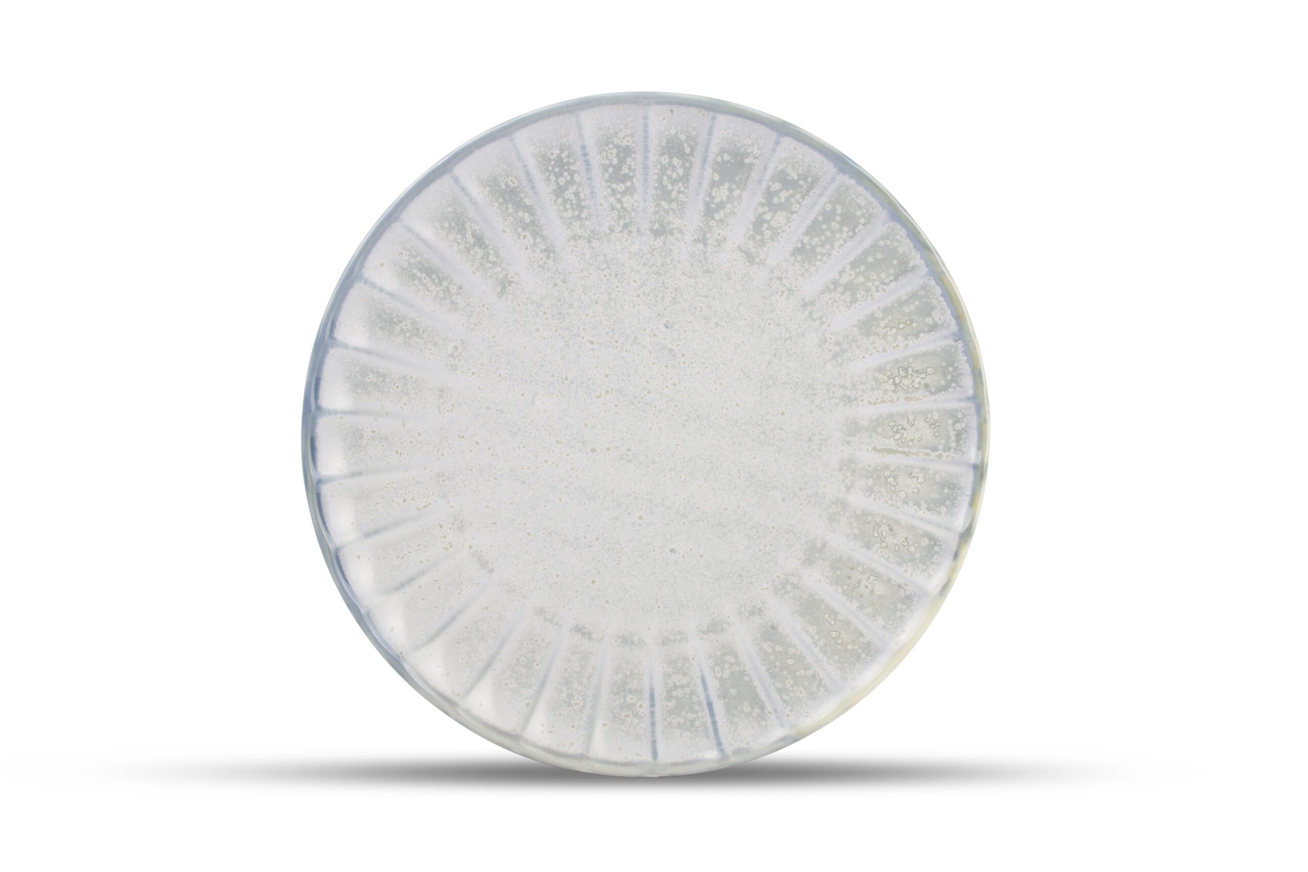 Plat bord 26cm sea green Atlas