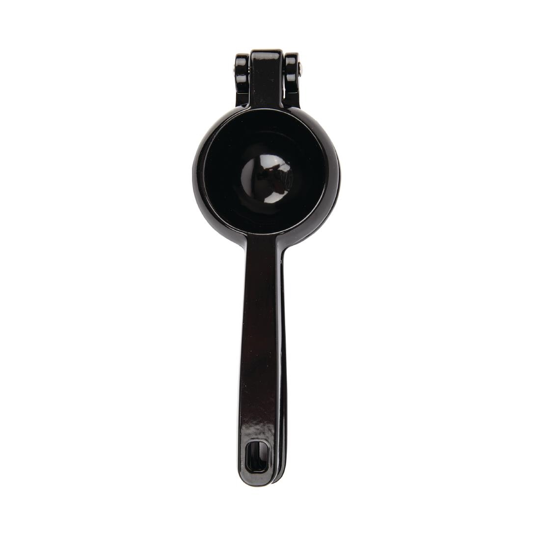 Citroen- en limoenpers - Afbeelding 3