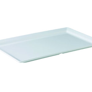 GN 2/4 plateau met smalle rand 53 x 17 x 3 cm