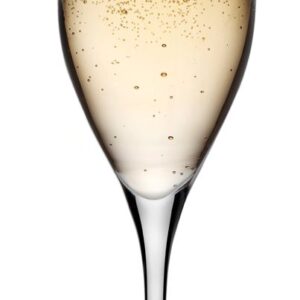 Vinifera champagne glas 255 ml