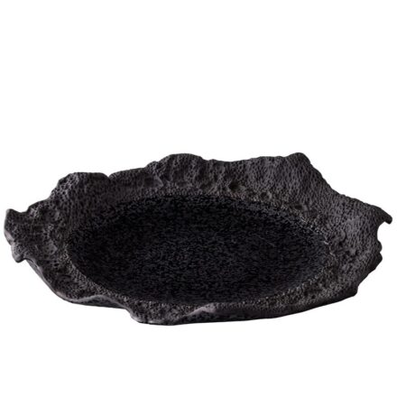 Wavy Border Coral Plate 32 x 28