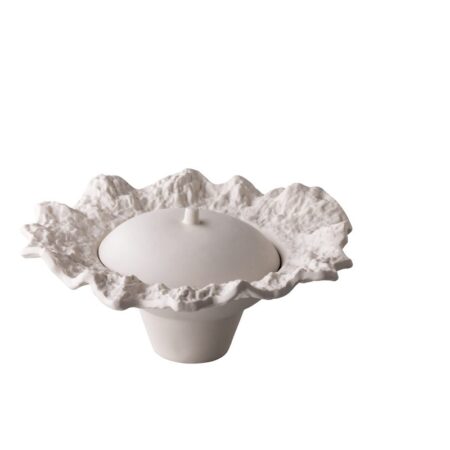 Everest kom op voet met deksel 22 cm