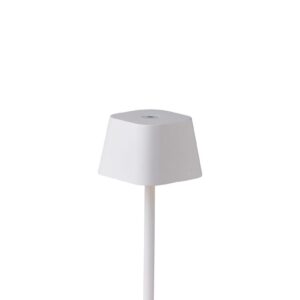 Dubai lamp wit