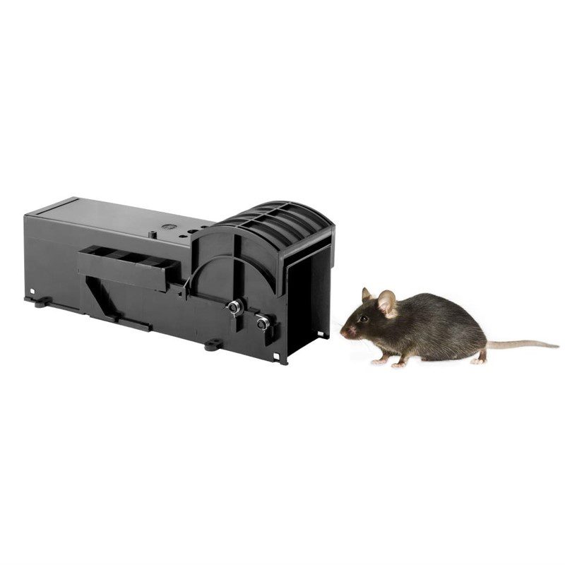 Eazyzap,live capture muizenval,effectieve muizenval,humane muizenval,knaagdierbestrijding,kleine knaagdieren,veilige deur,chemische-vrije muizenval,lawaai-vrije muizenval,ongewenste knaagdieren,muizenval zonder elektriciteit,veilige knaagdierenverwijdering,zwarte muizenval,onopvallende muizenval,herbruikbare muizenval,humanere muizenval,plaagbestrijding,muizenval in verpakkingen van twee,hygiënische muizenval,voedselbereiding,knaagdierplaag,muizenval kopen,muizenval bestellen,effectieve knaagdierbestrijding,knaagdieren verdelgen,muizen vangen,diervriendelijke muizenval,ongediertebestrijding,duurzame muizenval,veilig muizen vangen,professionele muizenval,muizenverdelger,Eazyzap product,efficiënte knaagdieroplossing,knaagdierpreventie,diervriendelijke oplossing,betrouwbare muizenval,muizenbestrijding,effectieve ongedierteverdelger,ongediertecontrole,knaagdierbeheersing,hygiënische oplossing,knaagdieren elimineren,plaagbeheersing,herbruikbare knaagdierenval,milieuvriendelijke muizenval,knaagdieren veilig verwijderen,knaagdieren wegvangen,professionele knaagdierenverdelger,knaagdieren op afstand houden,muizenverjager,knaagdierbestendige oplossing,effectieve plaagverdelging,ongewenste knaagdieren elimineren,knaagdierbeheer,knaagdierenbestendige val,effectieve muizenbestrijding,knaagdieren weren,milieuvriendelijke knaagdieroplossing,knaagdieren weren uit huis,knaagdiercontrole,horeca,restaurant,muizen,ratten,trap,val