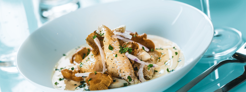 horeca servies dhwnonfood